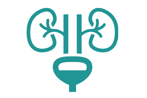 Nephrology & Urology